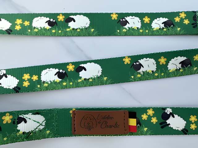 Laisse pour chien — Motifs originaux