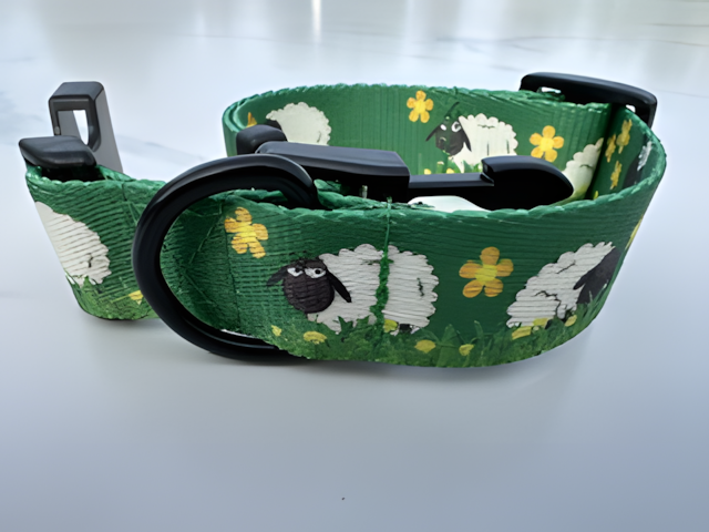 Collier pour chien — Motifs originaux