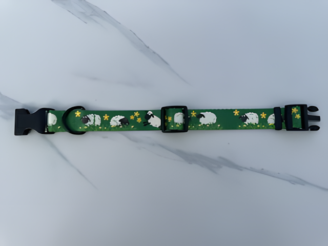 Collier pour chien — Motifs originaux