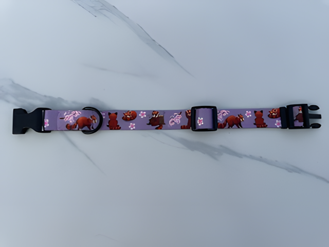 Collier pour chien — Motifs originaux