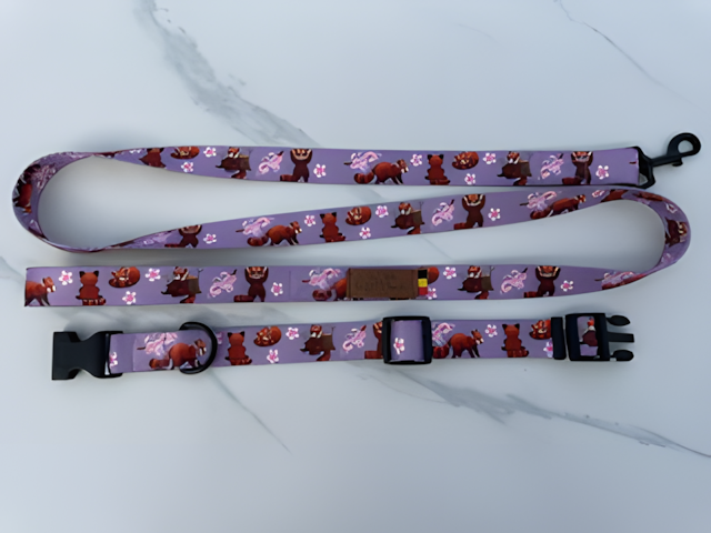Laisse pour chien — Motifs originaux