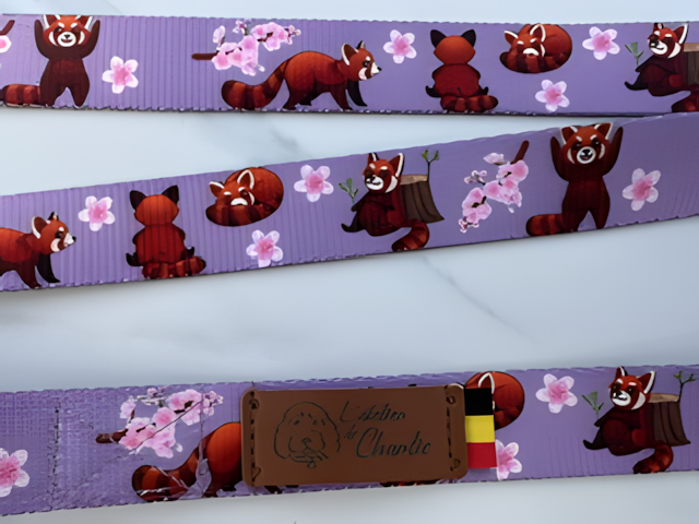 Laisse pour chien — Motifs originaux