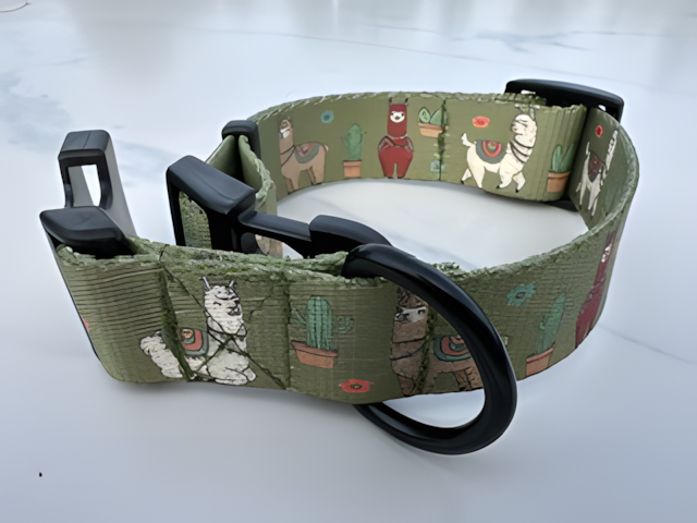 Collier pour chien — Motifs originaux