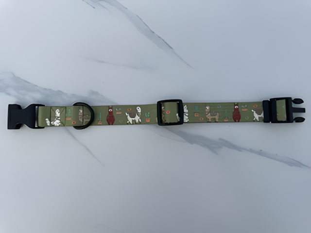 Collier pour chien — Motifs originaux