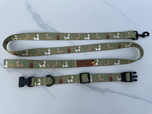 Laisse pour chien — Motifs originaux