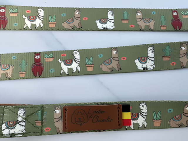 Laisse pour chien — Motifs originaux