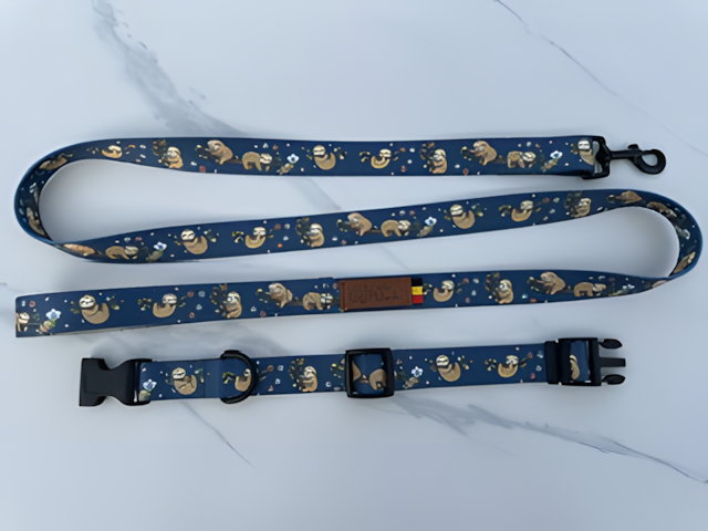 Laisse pour chien — Motifs originaux